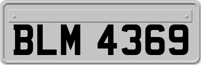 BLM4369
