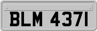 BLM4371