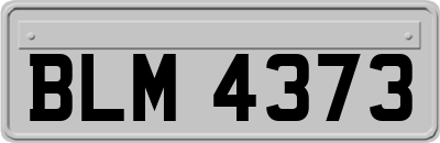 BLM4373