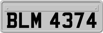 BLM4374