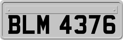 BLM4376