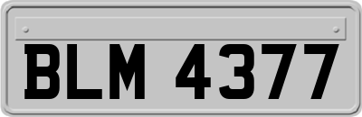 BLM4377