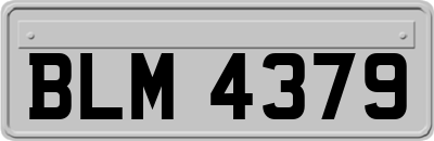 BLM4379