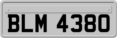BLM4380