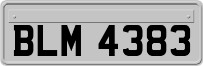 BLM4383