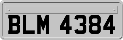 BLM4384