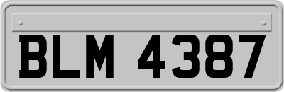 BLM4387