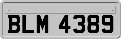 BLM4389