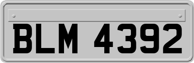 BLM4392