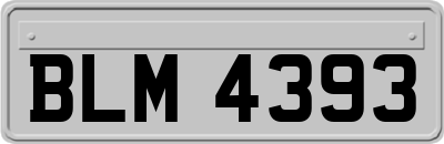 BLM4393