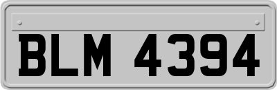 BLM4394