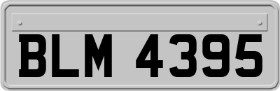 BLM4395