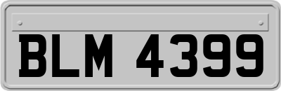 BLM4399
