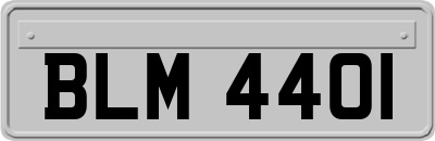 BLM4401