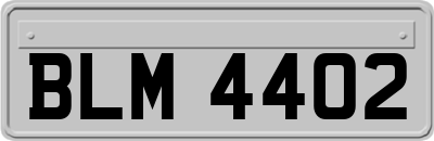 BLM4402
