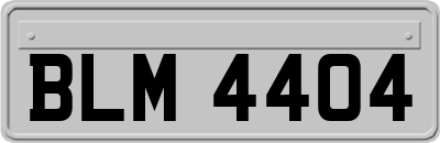BLM4404