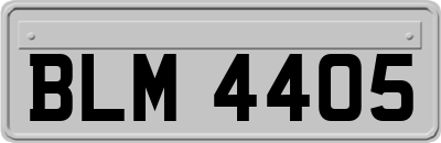 BLM4405