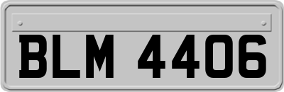 BLM4406