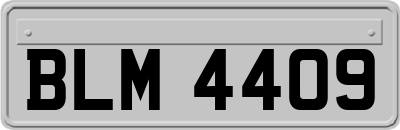 BLM4409