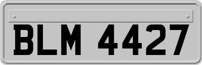 BLM4427