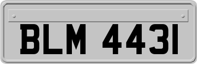 BLM4431