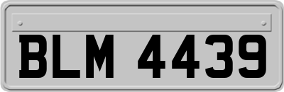 BLM4439