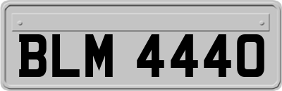 BLM4440