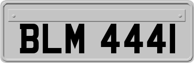 BLM4441