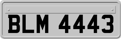 BLM4443