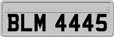 BLM4445