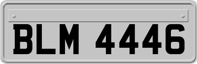 BLM4446