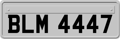 BLM4447