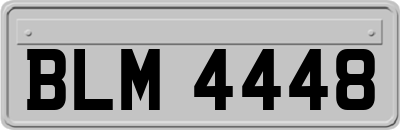 BLM4448