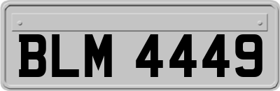 BLM4449