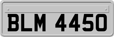 BLM4450