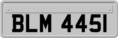 BLM4451