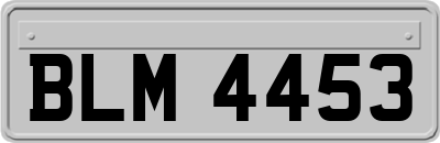 BLM4453