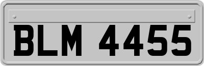 BLM4455