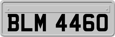 BLM4460