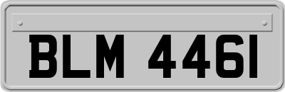 BLM4461