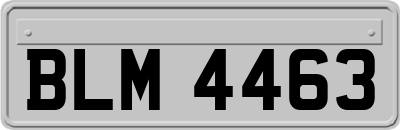 BLM4463