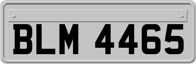 BLM4465