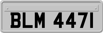 BLM4471