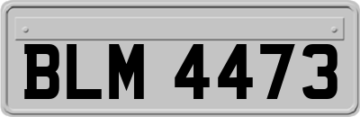 BLM4473