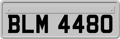 BLM4480