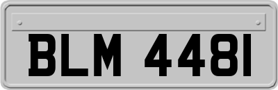 BLM4481