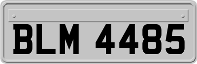 BLM4485
