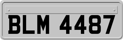 BLM4487