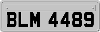 BLM4489