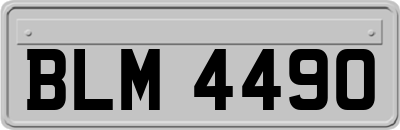 BLM4490